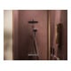 hansgrohe S-Pipe Raindance Alive S Puro 1jet, 12 l/min, chrom