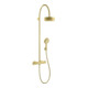 hansgrohe Showerpipe Axor Citterio avec thermostat, pomme de douche 180 mm, 1 an, brossé-1