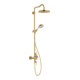 hansgrohe Showerpipe Axor Montreux m TH, Kopfbrause, 240mm, 1j, brush. gol opt-1