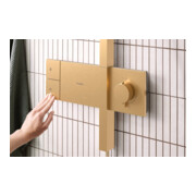 hansgrohe Showerpipe Raindance Alive Q 1jet, 12 l/min, brushed bronze-3