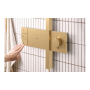 hansgrohe Showerpipe Raindance Alive Q 2jet, 12 l/min, brushed bronze-2