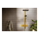 hansgrohe Showerpipe Raindance Alive Q 2jet, 12 l/min, optique or poli