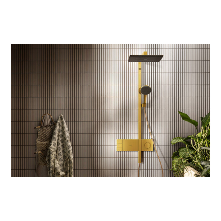 hansgrohe Showerpipe Raindance Alive Q 2jet, 12 l/min, optique or poli