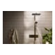 hansgrohe Showerpipe Raindance Alive Q 2jet, EcoSm., 7,6 l/min, brushed bronze