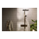 hansgrohe Showerpipe Raindance Alive Q 2jet, EcoSmart, 7,6 l/min, bronze brossé