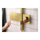 hansgrohe Showerpipe Raindance Alive S 1j, Pression min. 1 bar, optique or poli
