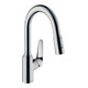 hansgrohe Spültisch-Einhebelmischer 180 Focus M42 mit Ausziehbrause, 2jet, chrom-1