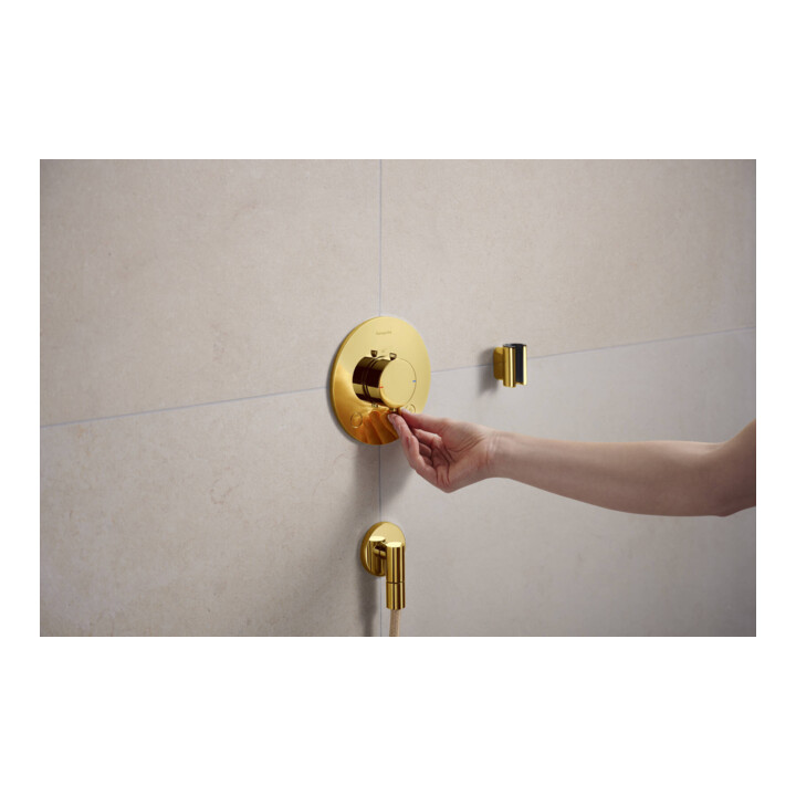 hansgrohe Support de douche Porter Fine fixe, métal, optique or poli