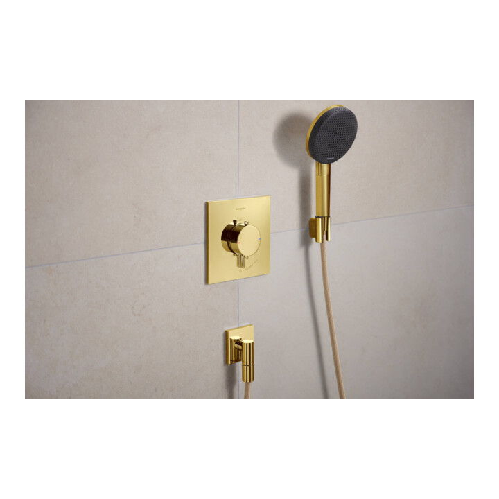 hansgrohe Support de douche Porter Fine fixe, métal, optique or poli