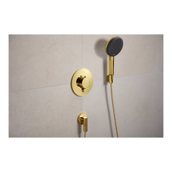 hansgrohe Support de douche Porter Fine fixe, métal, optique or poli