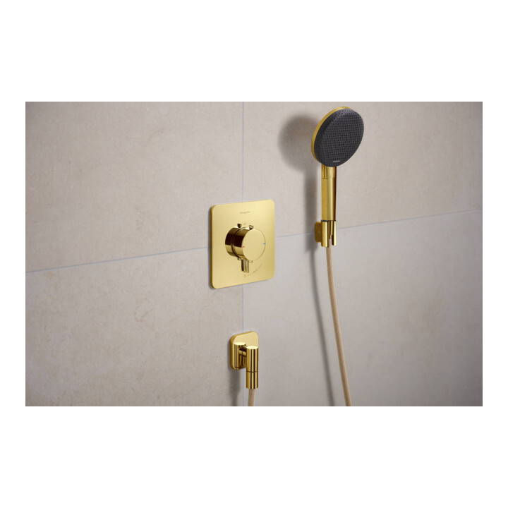 hansgrohe Support de douche Porter Fine fixe, métal, optique or poli