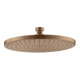 hansgrohe Tellerkopfbrause Axor Starck Deck.- o Wd, 240mm, 1j, brush. r gol-1