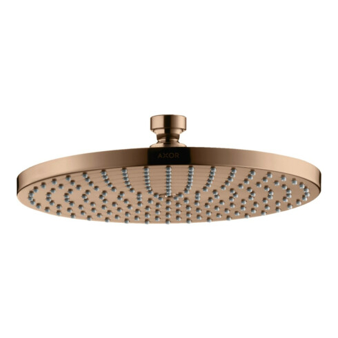 hansgrohe Tellerkopfbrause Axor Starck Deck.- o Wd, 240mm, 1j, pol. r gol