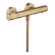 hansgrohe Thermostat de douche Axor Citterio M AP, 1 sortie, bronze brossé-1