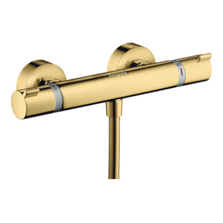 hansgrohe Thermostat de douche Ecostat Comfort 304x103mm, AP, 1 sortie, or poli