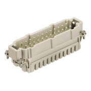 Harting Insert de broches Han 24 ES-M 09330242616-3