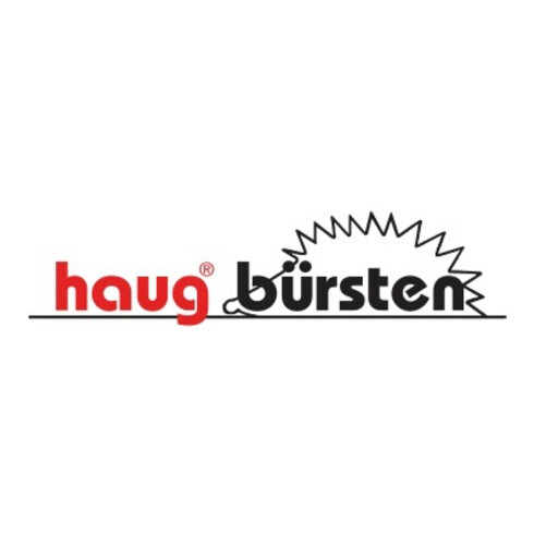 haug Stielbürste ANTI BAC 89006 Durchmesser 0,50mm hart orange
