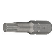 HAZET schroevendraaier bit 2212