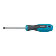 HAZET Cacciavite 810-T30, Profilo interno TX, T30-1