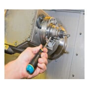HAZET Cacciaviti dinamometrici 6001, con portabit a innesto-4