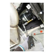 HAZET Cardanas TX dopsleutelbit 2756-T60 ∙ Vierkant hol 12,5 mm (1/2 inch) ∙ Binnen-TX-profiel ∙ T60-4