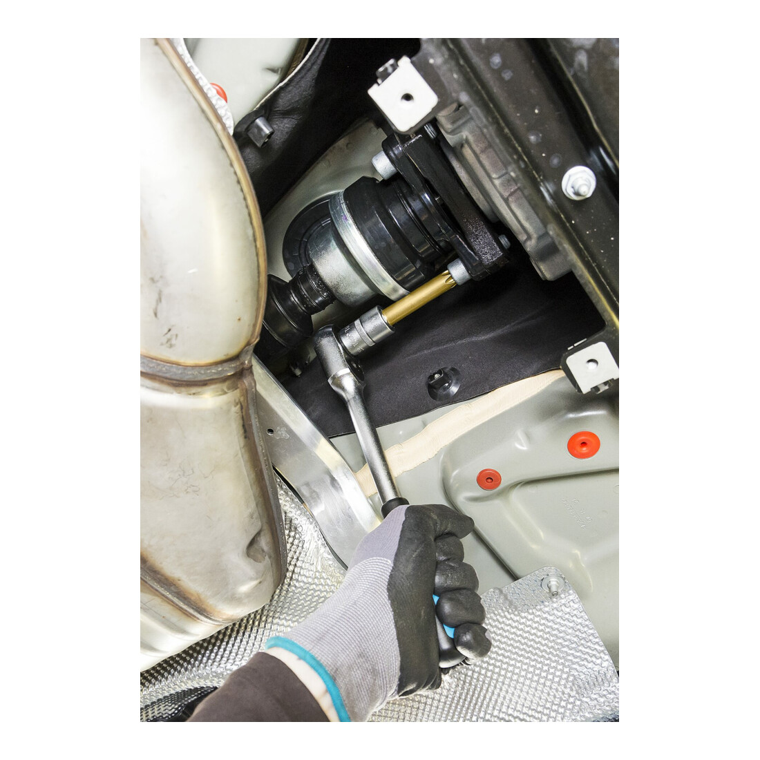 HAZET Cardanas TX dopsleutelbit 2756-T60 ∙ Vierkant hol 12,5 mm (1/2 inch) ∙ Binnen-TX-profiel ∙ T60