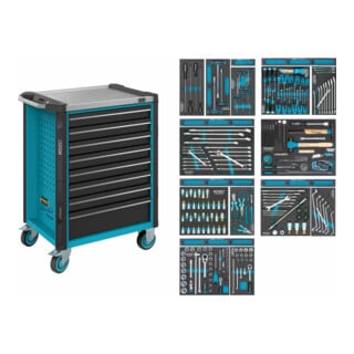 HAZET Carrello per officina Assistent 179NX-8/244 cassetti piatti: 7x81x522x398mm cassetti alti: 1x166x522x398mm, 244pz.