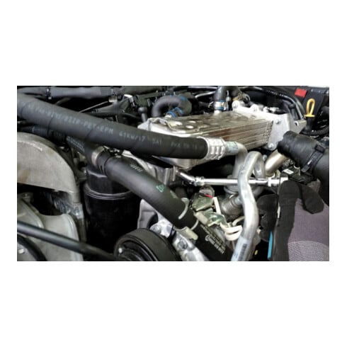 HAZET Dopsleutel ∙ TX 850LG-GE10 ∙ Vierkant hol 6,3 mm (1/4 inch) ∙ Buiten-TX-profiel ∙ E10