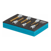 HAZET Dopsleutelbitset 163-302/6 ∙ Vierkant hol 10 mm (3/8 inch) ∙ Binnen-zeskant-profiel ∙ 4 – 10 ∙ Aantal gereedschappen: 6-4