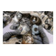 HAZET Extracteur de moyeu pompe haute pression VAG 2517-1-5