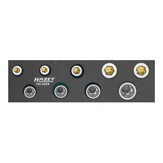 HAZET Gereedschapset ∙ TX 163-252/9 ∙ Vierkant hol 10 mm (3/8 inch) ∙ Buiten-TX-profiel, Binnen-TX-profiel ∙ E8 – E14 ∙ T25 – T50 ∙ Aantal gereedschappen: 9