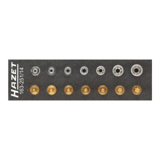 HAZET Gereedschapsset, TX 163-251/14 Vierkant hol 6,3 mm (1/4 inch) Buitenste TX-profiel, binnenste TX-profiel E 4 - E 11 T 10 - T 40 Aantal gereedschappen: 14