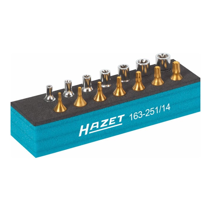 HAZET Gereedschapsset, TX 163-251/14 Vierkant hol 6,3 mm (1/4 inch) Buitenste TX-profiel, binnenste TX-profiel E 4 - E 11 T 10 - T 40 Aantal gereedschappen: 14