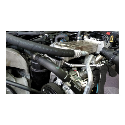HAZET Inserto chiave a bussola, TX 850LG-GE10, Attacco quadro, cavo, 6,3mm (1/4"), Profilo esterno TX, E10