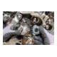HAZET Naaftrekker hogedrukpomp ∙ VAG 2517-1 ∙ 50 mm