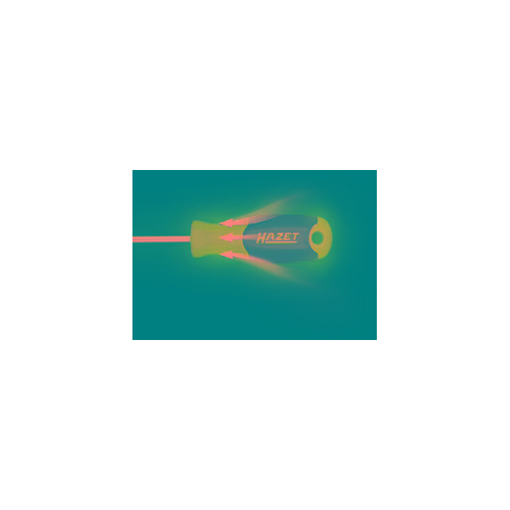 HAZET Porte-embouts 811BMK, 1/4 pouce (6,3 mm) hexagonal 80 mm