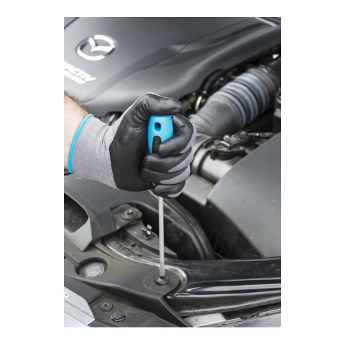 HAZET Schraubendreher 810-PZ2 Pozidriv Profil PZ PZ2