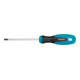 HAZET Schraubendreher 810-T25 Innen TX Profil T25