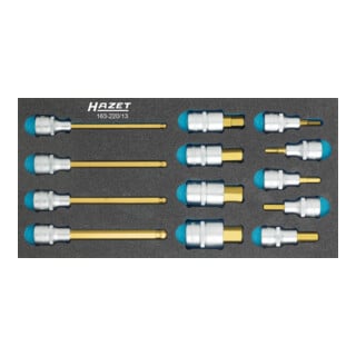 HAZET Schraubendreher-Steckschlüsseleinsatz-Satz 163-220/13 Vierkant hohl 12,5 mm (1/2 Zoll) Innen-Sechskant Profil Anzahl Werkzeuge: 13