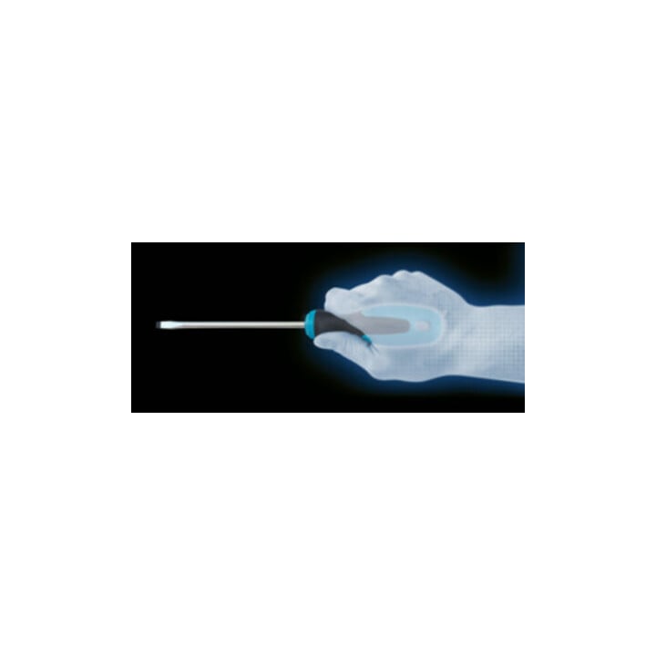 HAZET Schroevendraaier 810-25 ∙ Sleufprofiel ∙ 0.4 x 2.5 mm