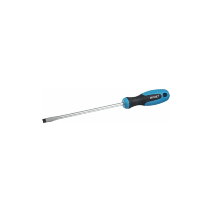 HAZET Schroevendraaier 810-25 ∙ Sleufprofiel ∙ 0.4 x 2.5 mm