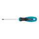 HAZET Schroevendraaier 810 Binnen TX-profiel