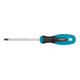 HAZET Schroevendraaier 810-T30 ∙ Binnen-TX-profiel ∙ T30