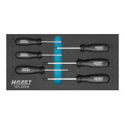HAZET Schroevendraaierset ∙ TX 163-225/6 ∙ Binnen-TX-profiel ∙ T10 – T30 ∙ Aantal gereedschappen: 6-1