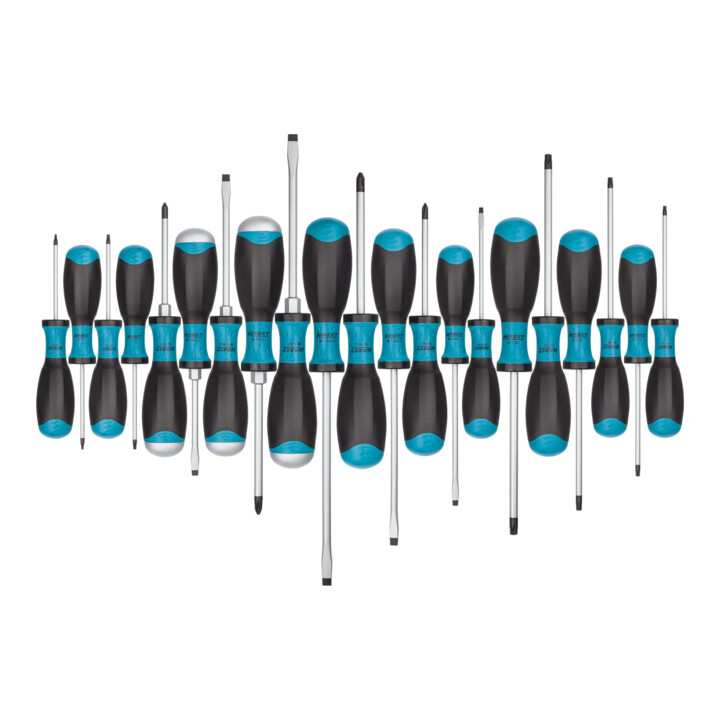 HAZET Schroevendraaierset 810SPC/21