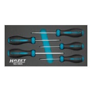 HAZET Schroevendraaierset HEXAnamic® 163-185/5 ∙ Tamper resistant TORX®-profiel ∙ T10 H – T30 H ∙ Aantal gereedschappen: 5