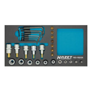 HAZET Serie di chiavi a bussola, TX 163-192/24, Attacco quadro, cavo, 12,5mm (1/2"), Attacco quadro, cavo, 6,3mm (1/4"), Profilo esterno TX, Profilo interno TX, T8 – T55, E5 – E204