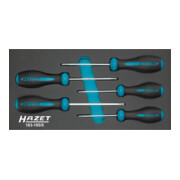 HAZET Serie di giraviti HEXAnamic® 163-185/5, Profilo TORX® Tamper Resistant, T10 H – T30 H