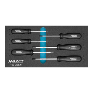 HAZET Serie di giraviti, TX 163-225/6, Profilo interno TX, T10 – T30