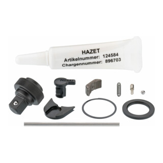 HAZET Serie di ricambi cricchetto 863HP/11